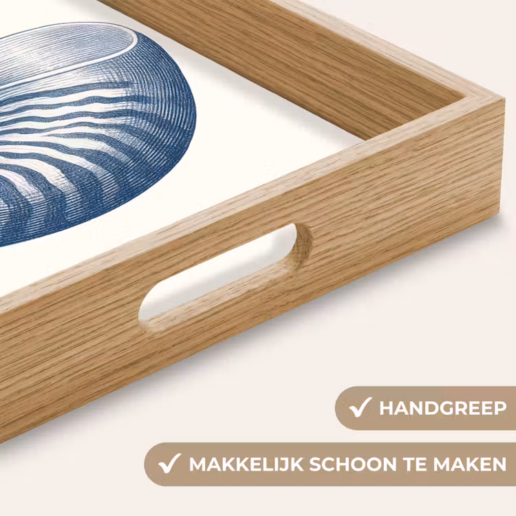 Dienblad - Blauw - Schelp - Spiraal — 8