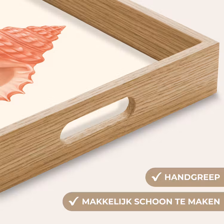 Dienblad - Schelp - Roze - Structuur — 8