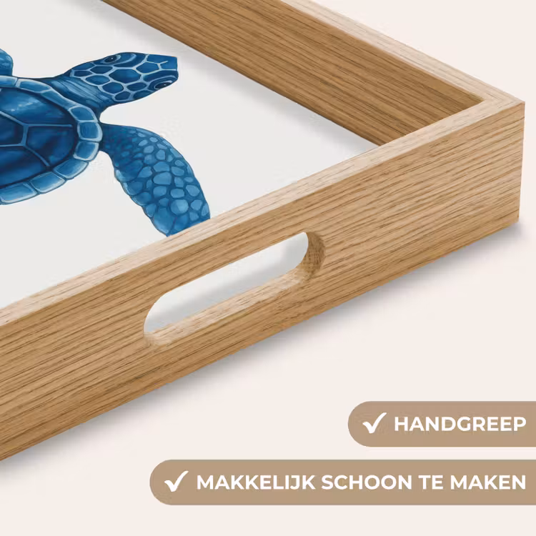 Dienblad - Schildpad - Blauw - Schild — 8