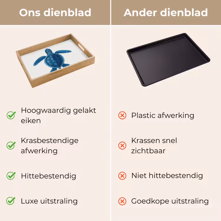 Dienblad - Schildpad - Blauw - Schild — 9