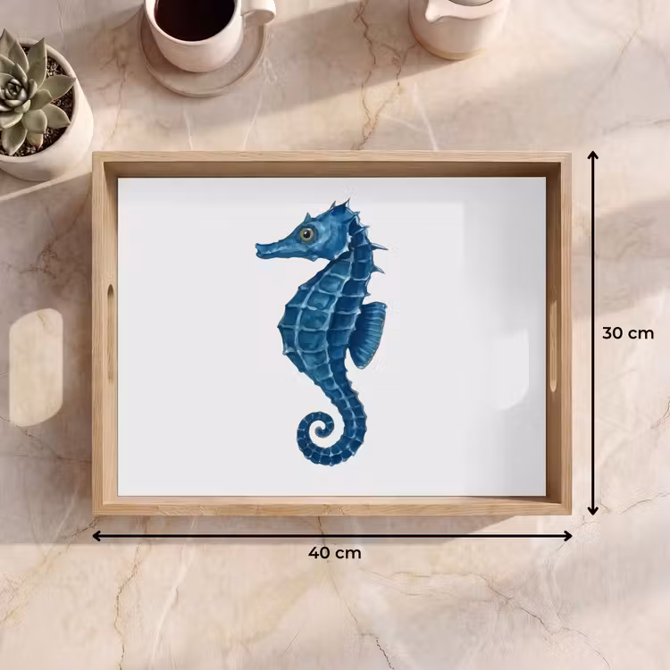 Dienblad - Zeepaardje - Staart - Blauw — 7