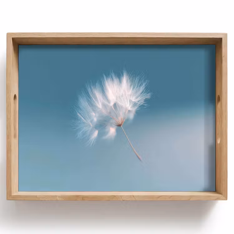 Dienblad - Paardenbloempluisje - Blauw - Lucht — 1