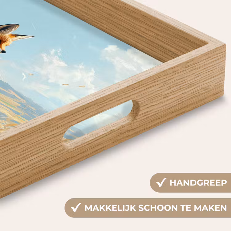 Dienblad - Vos - Gras - Wolken - Oranje — 8
