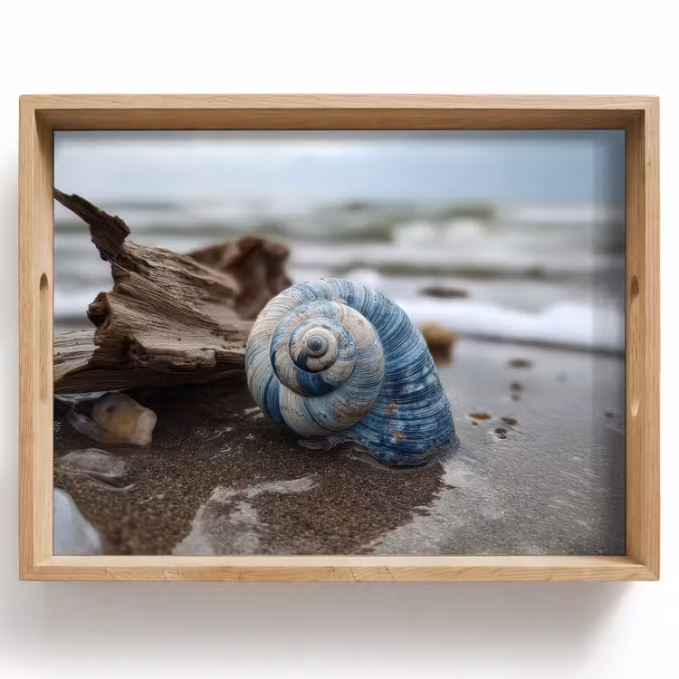 Dienblad - Schelp - Strand - Blauw - Zee — 1