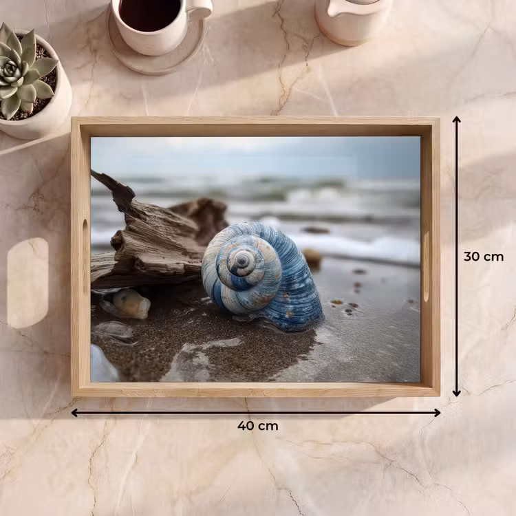 Dienblad - Schelp - Strand - Blauw - Zee — 7