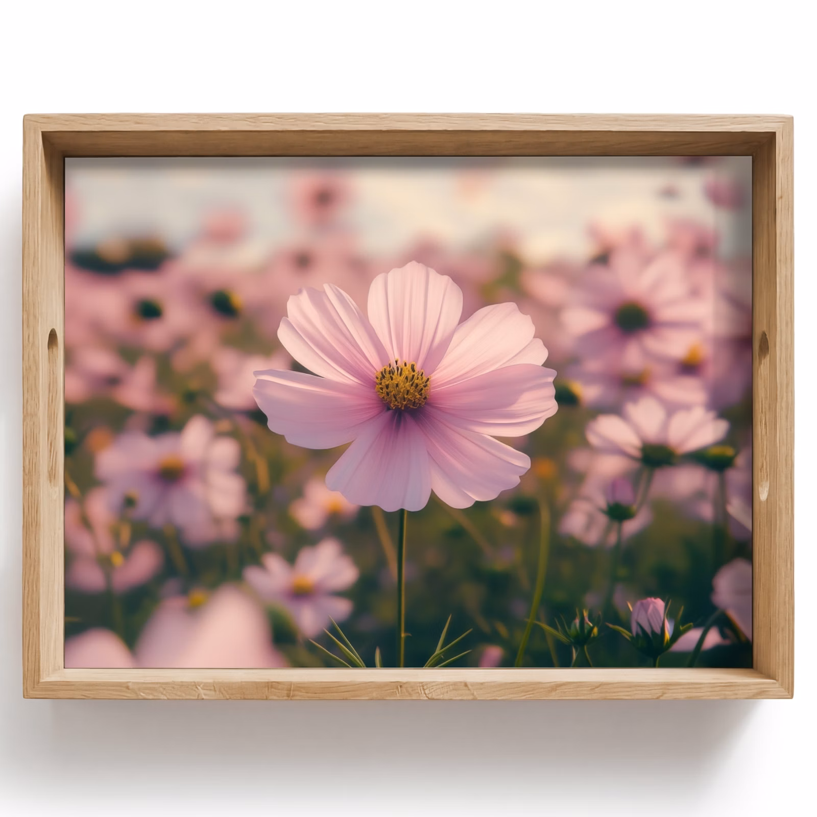 Dienblad - Bloemen - Paars - Wazig — 1