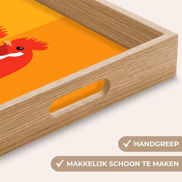Dienblad - Kippen - Oranje - Vlakken — 8
