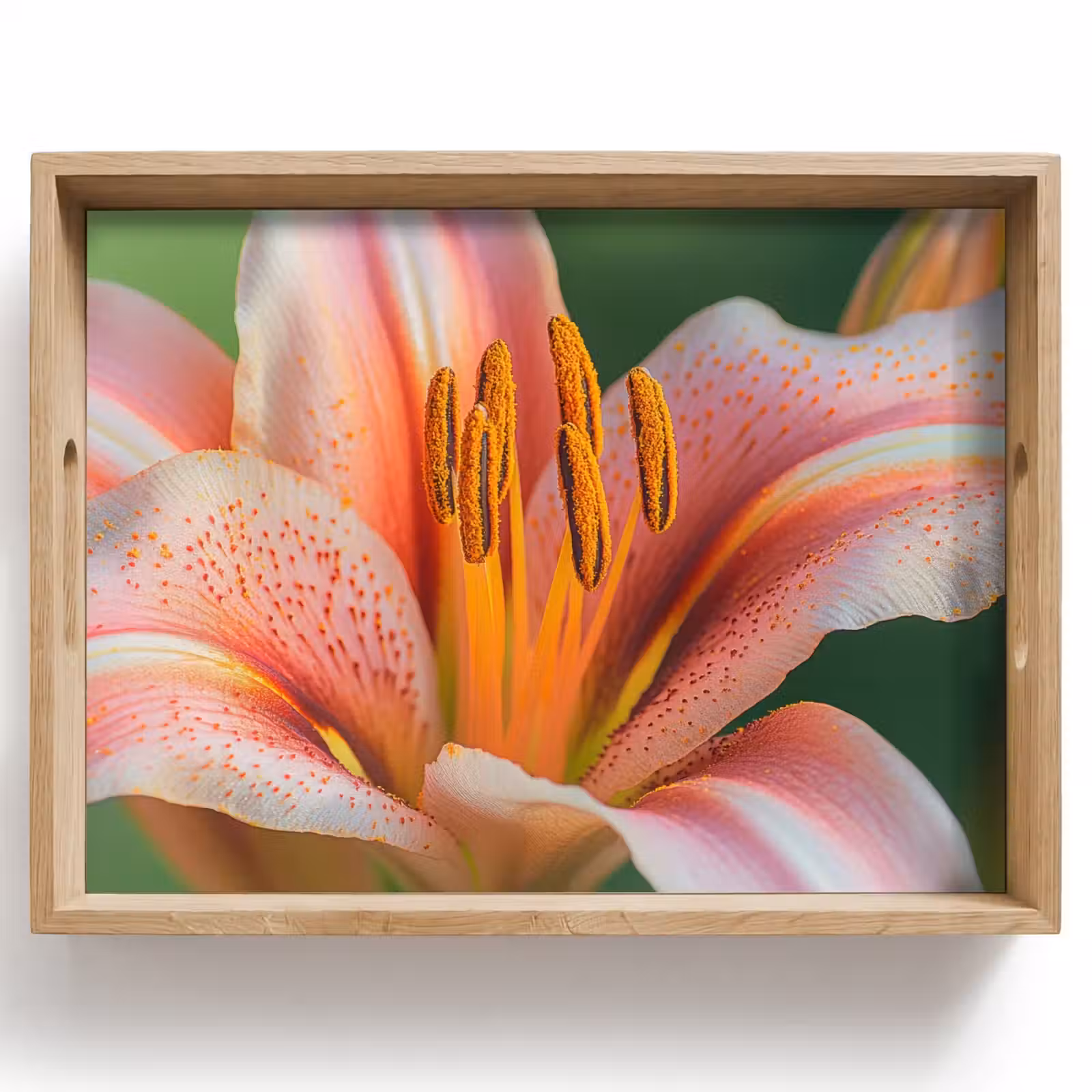 Dienblad - Lelie - Close up - Lichtroze — 1