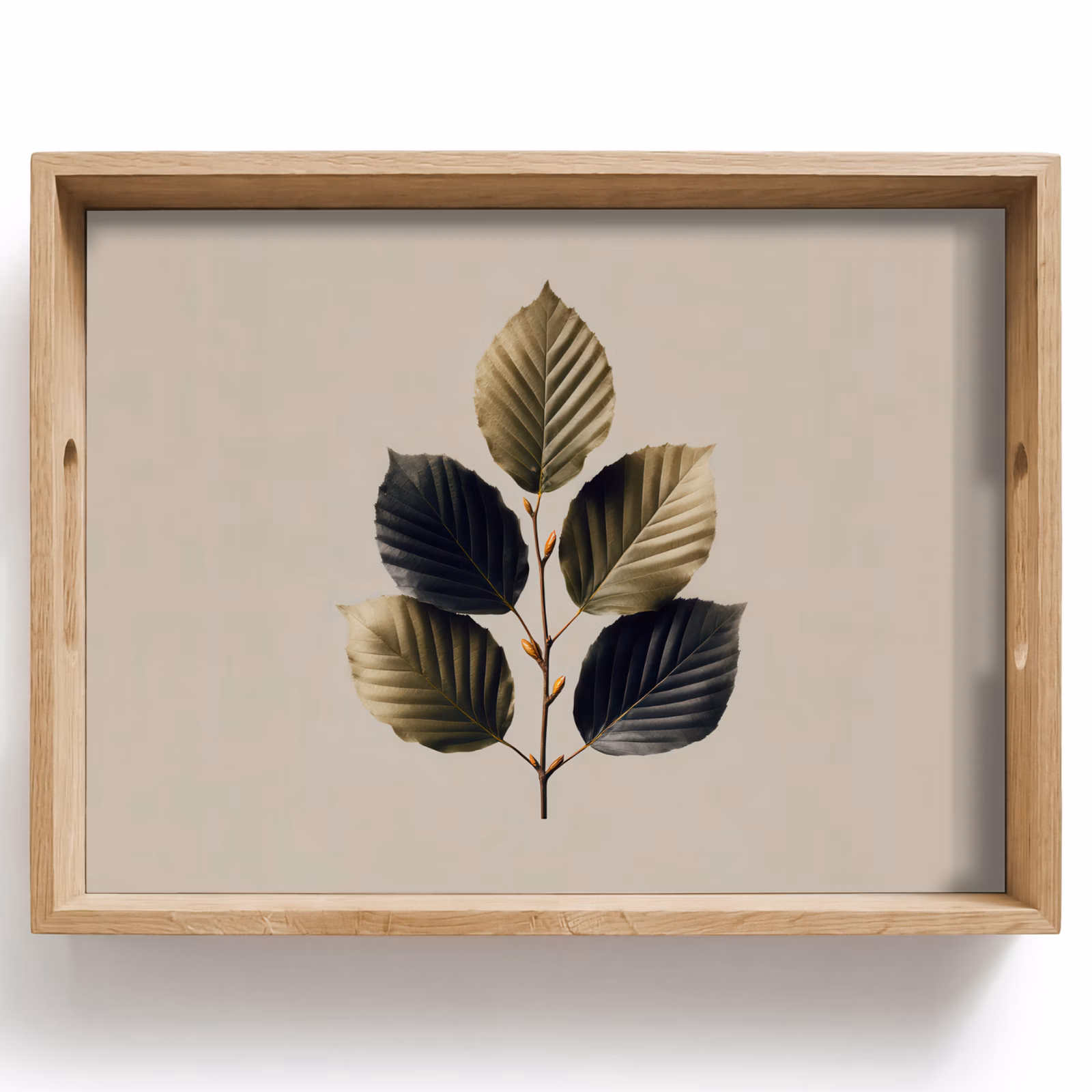 Dienblad - Beukenbladeren - Bruin - Groen - neutraal — 1