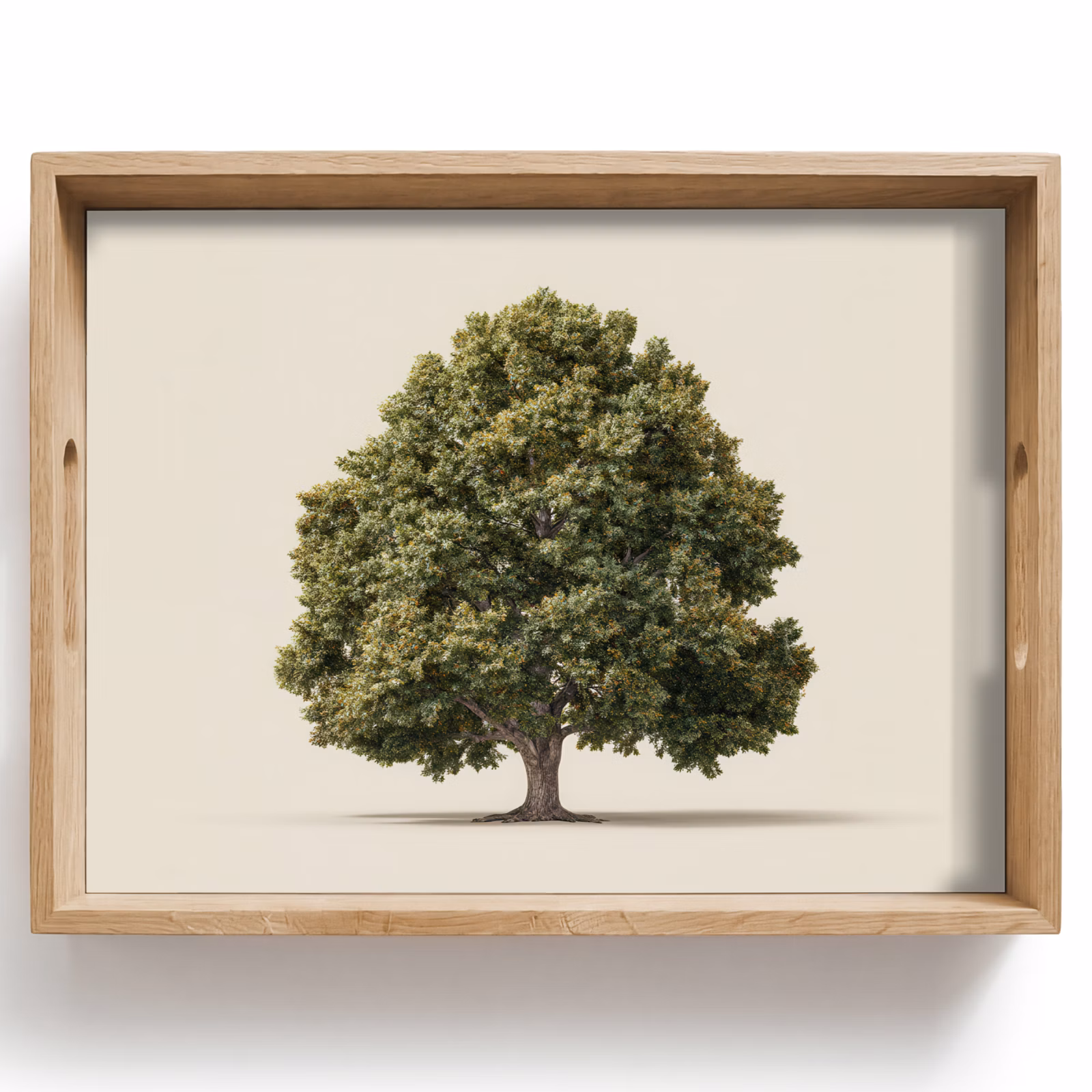 Dienblad - Eikenboom - Groen - Lichte achtergrond — 1