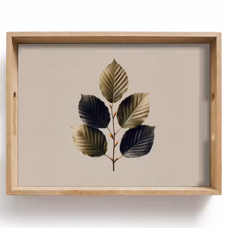 Dienblad - Beukenbladeren - Bruin - Groen - neutraal — 1