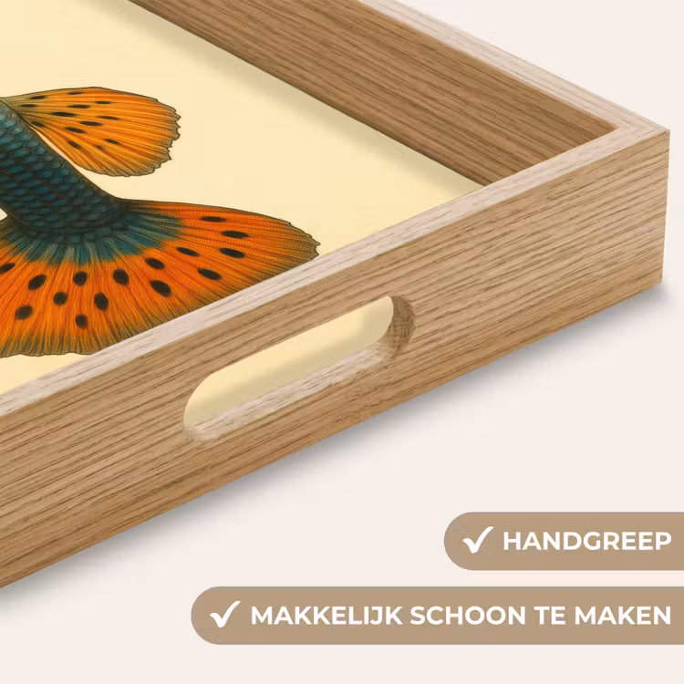 Dienblad - Vis - illustratie - Stippen - Oranje — 8
