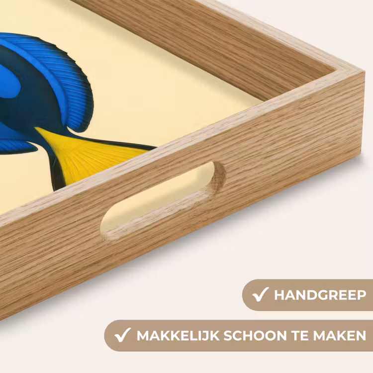 Dienblad - Blauw - Dory - Vis - Staartvin — 8