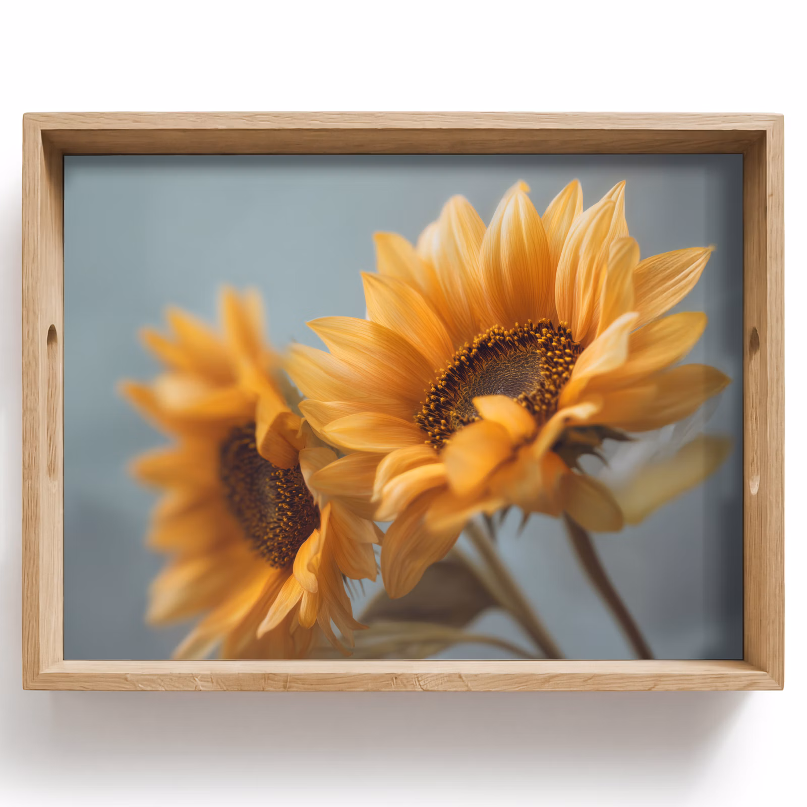 Dienblad - Zonnebloemen - Geel - Wazig — 1