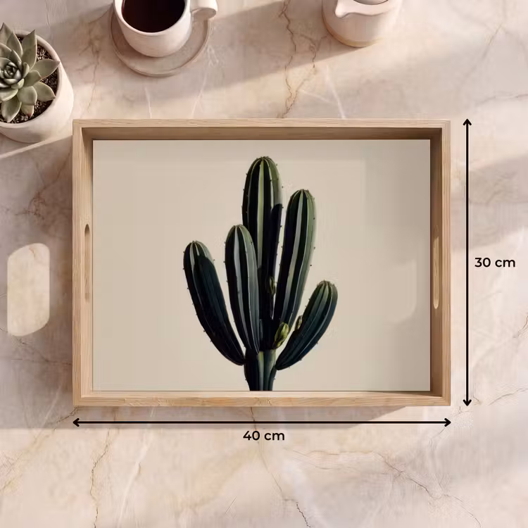 Dienblad - Cactus - Subtiel - Groen — 7