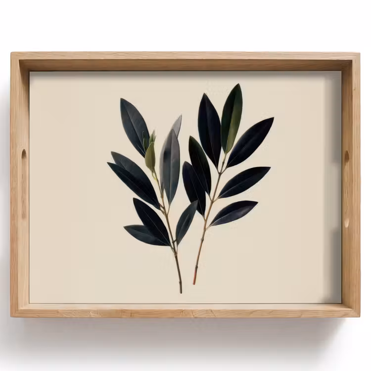 Dienblad - Ovaalvormige bladeren - Diep groen - Symmetrisch — 1