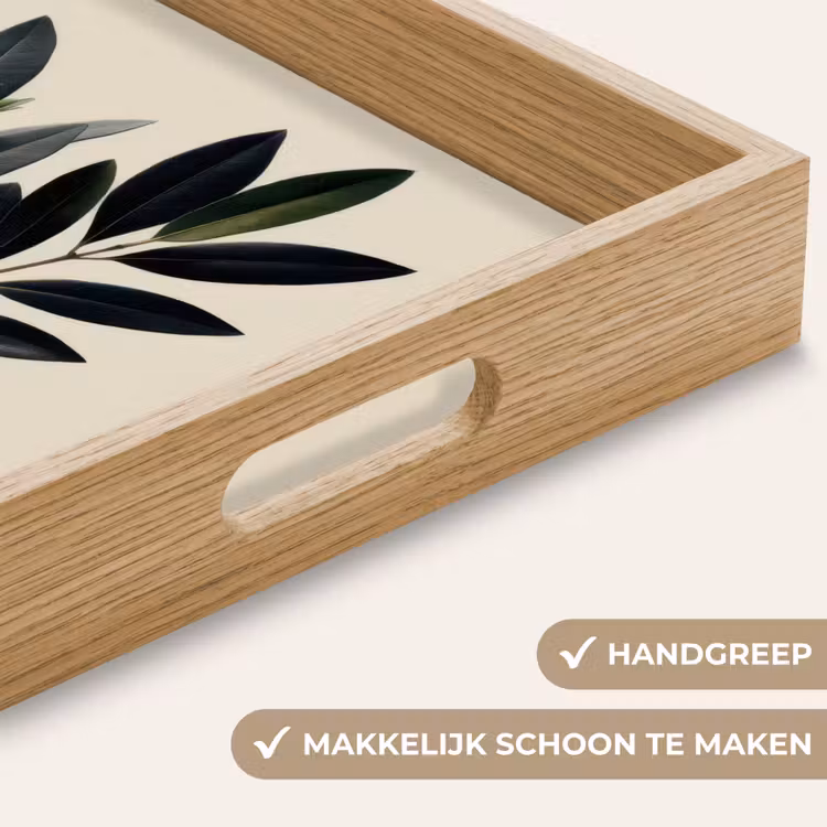 Dienblad - Ovaalvormige bladeren - Diep groen - Symmetrisch — 8