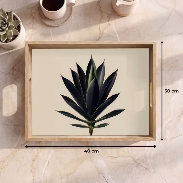 Dienblad - Agaveplant - Symmetrisch - Groen — 7