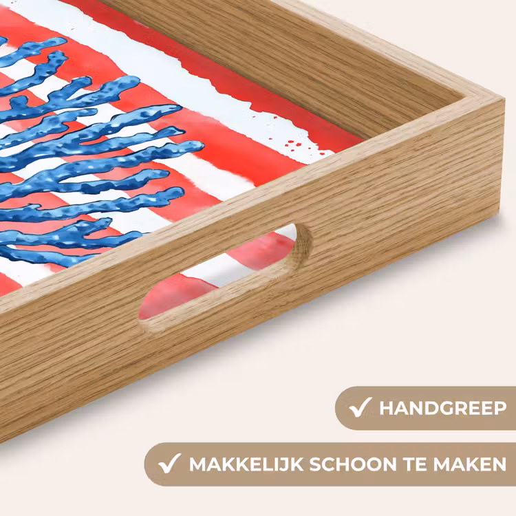 Dienblad - Koraal - Verfstructuur - Rood - Blauw — 8