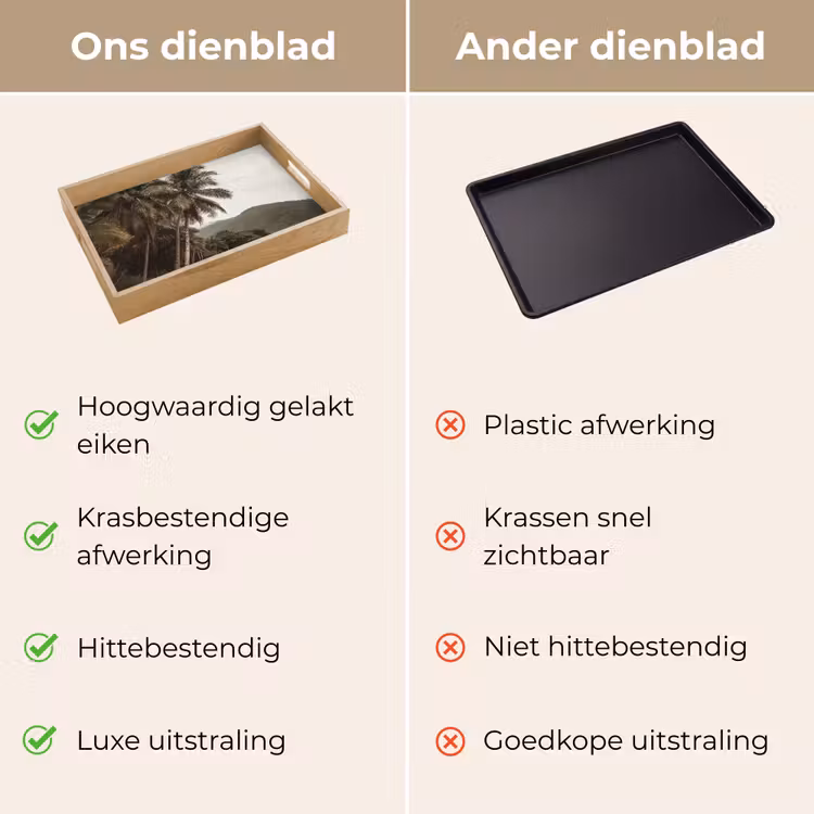 Dienblad - Eiland - Palmboom - Zee — 9