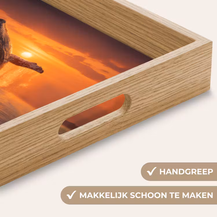 Dienblad - Walvis - Zon - Zee — 8