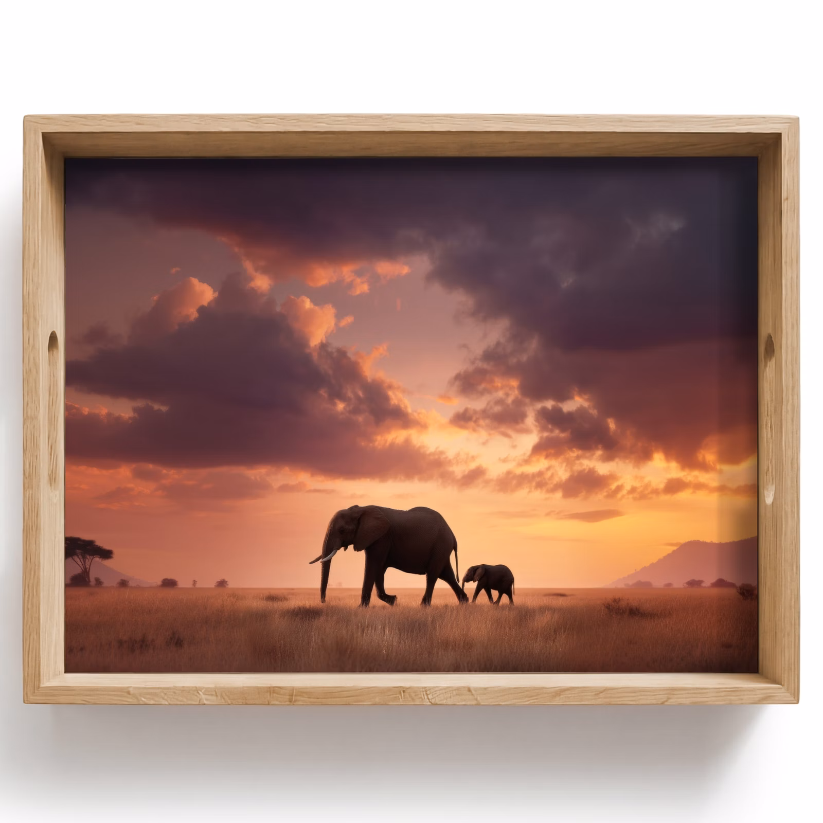 Dienblad - Olifanten - Grasland - Zonsondergang — 1