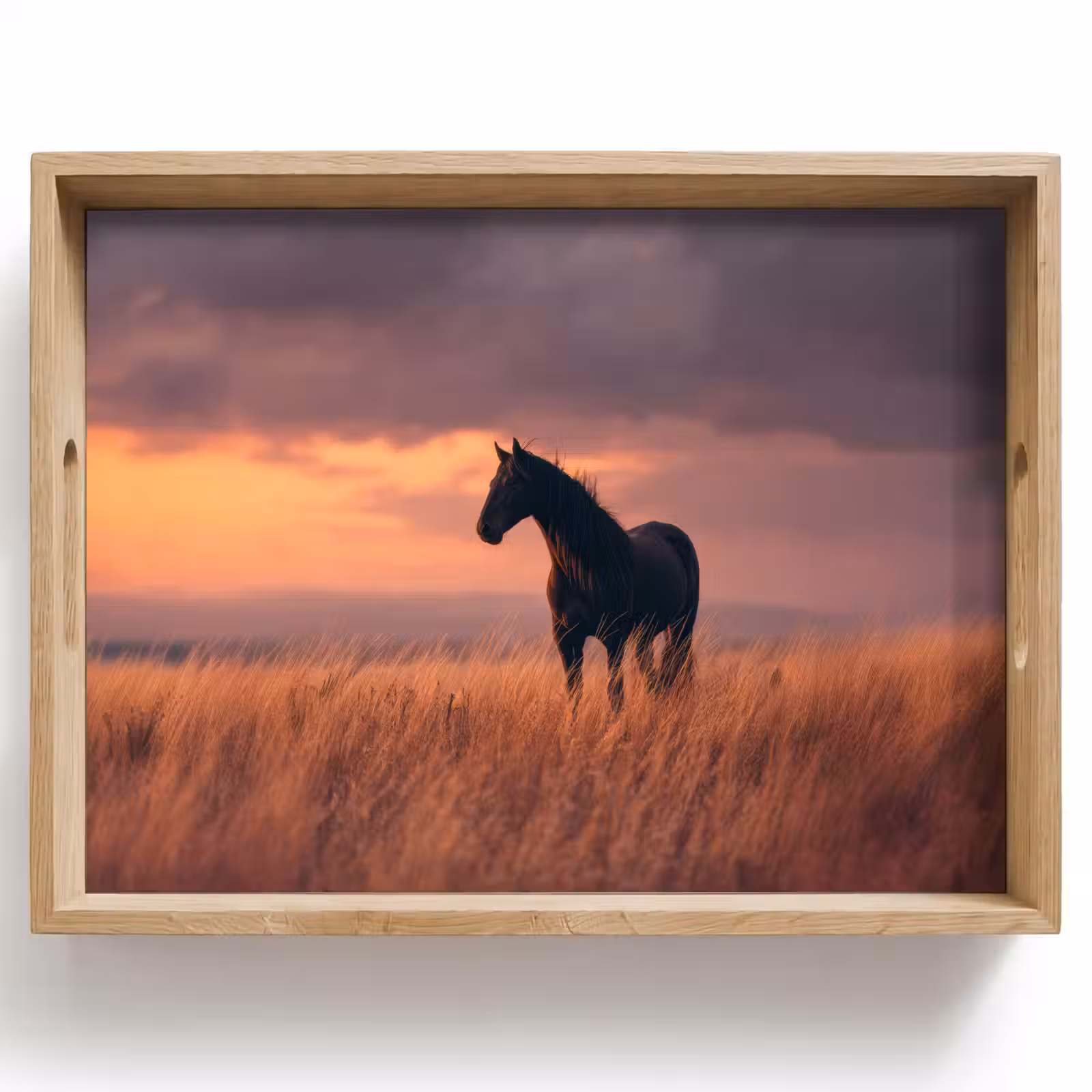 Dienblad - Paard - Wolken - Open veld — 1