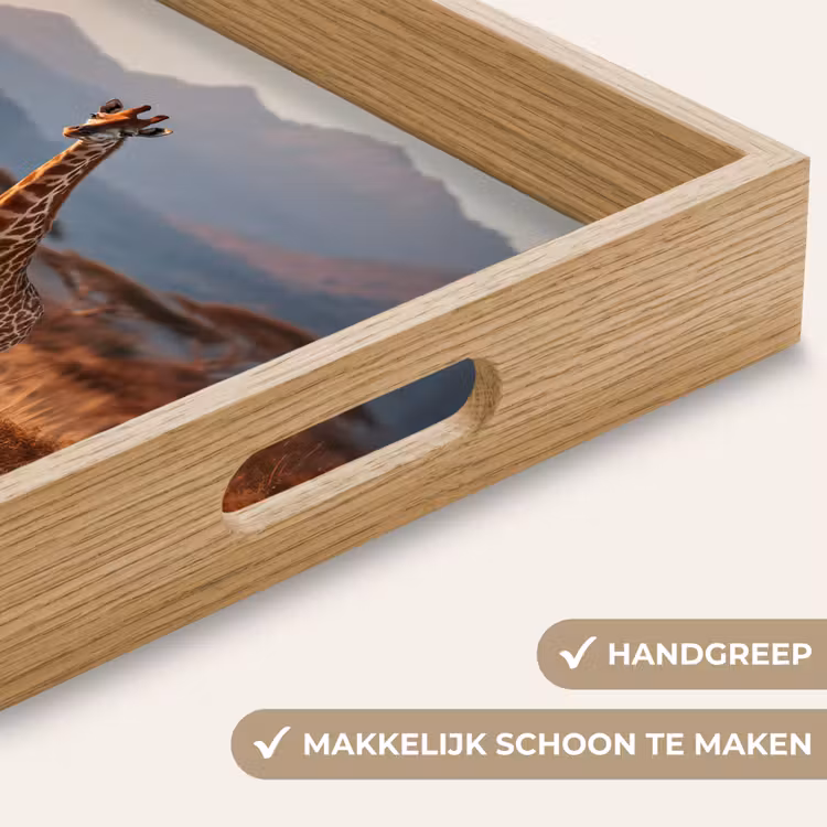 Dienblad - Giraffen - Hoog gras - Acaciabomen — 8