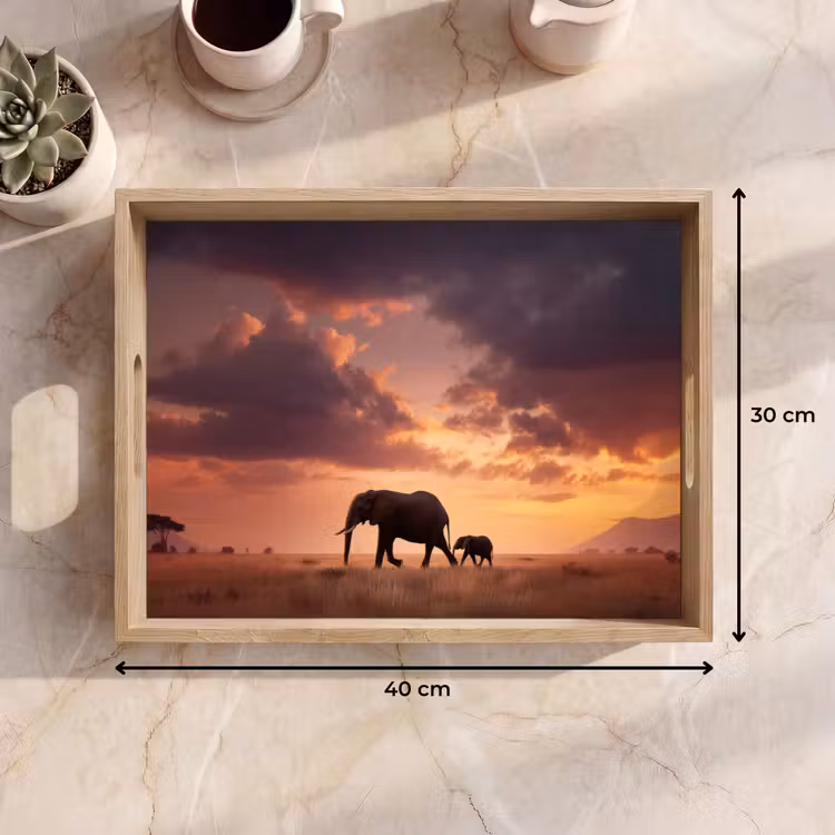 Dienblad - Olifanten - Grasland - Zonsondergang — 7
