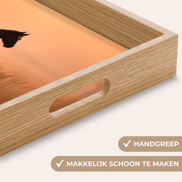 Dienblad - Paard - Grasveld - Zonsondergang — 8