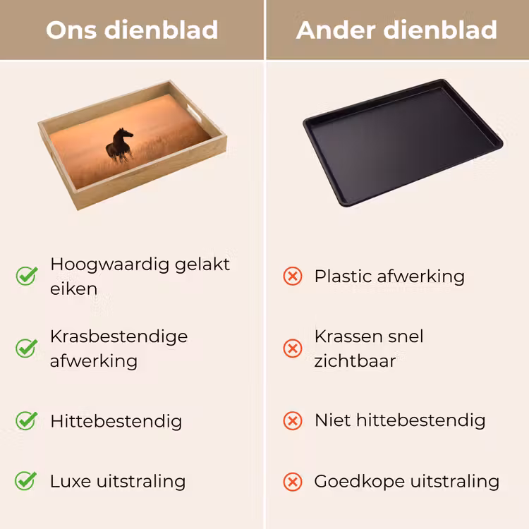 Dienblad - Paard - Grasveld - Zonsondergang — 9
