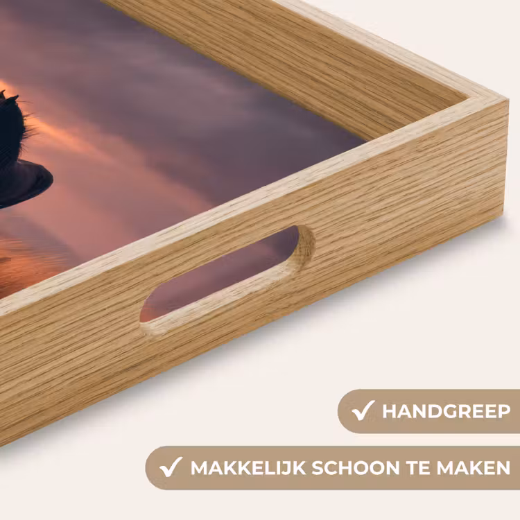 Dienblad - Paard - Wolken - Open veld — 8