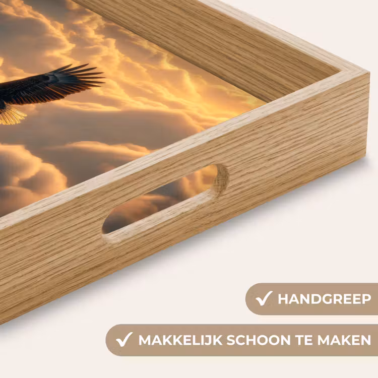 Dienblad - Adelaar - Wolken - Zon — 8