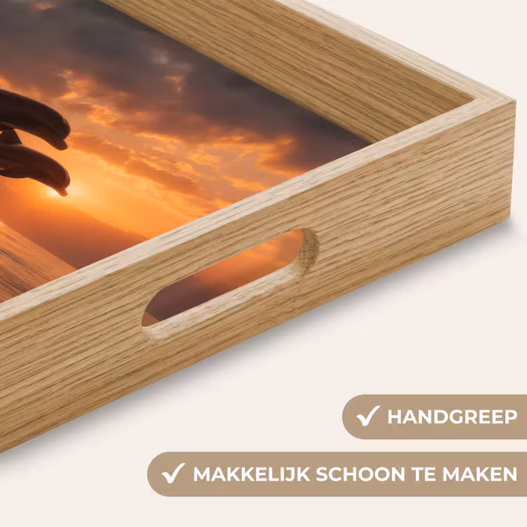 Dienblad - Dolfijnen - Zee - Realistisch — 8