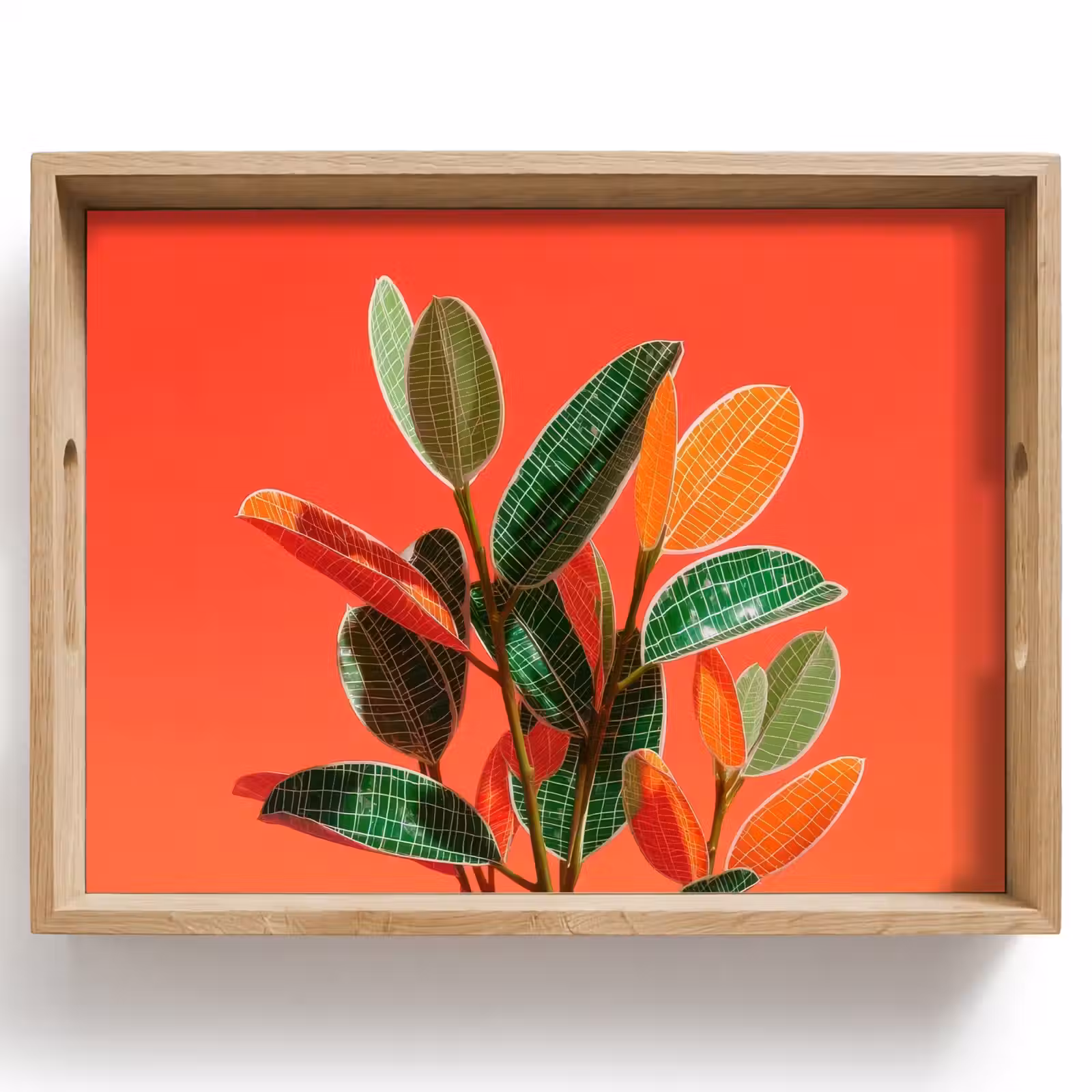 Dienblad - Bladeren - Nerven - Oranje - Structuur — 1