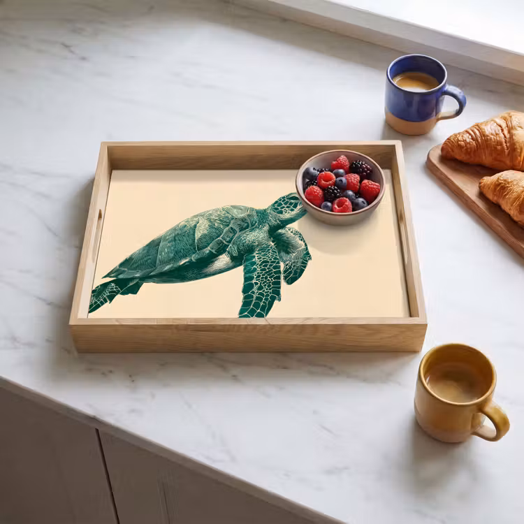 Dienblad - Schildpad - Sierlijk - Groen - Schild — 3