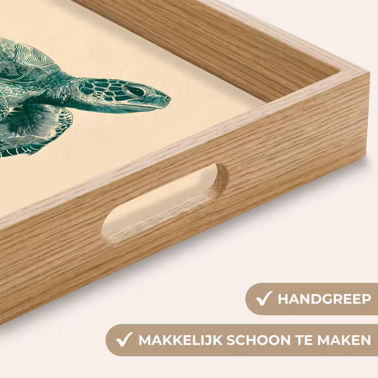 Dienblad - Schildpad - Sierlijk - Groen - Schild — 8