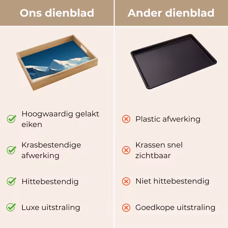 Dienblad - Huis - Berglandschap - Sneeuw — 9
