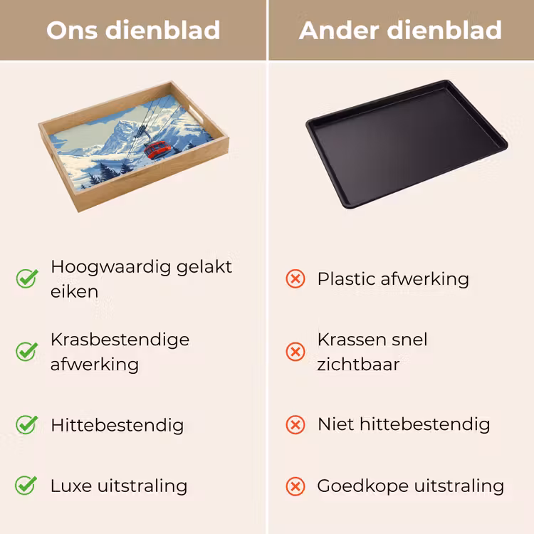 Dienblad - Kabelbaan - Sneeuw - Berglandschap — 9