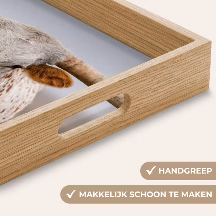 Dienblad - Longhorn - Grasveld - Dier — 8