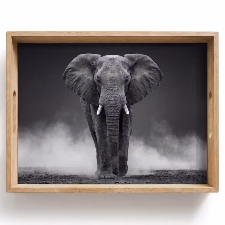 Dienblad - Olifant - Zwart - Wit - Rook — 1