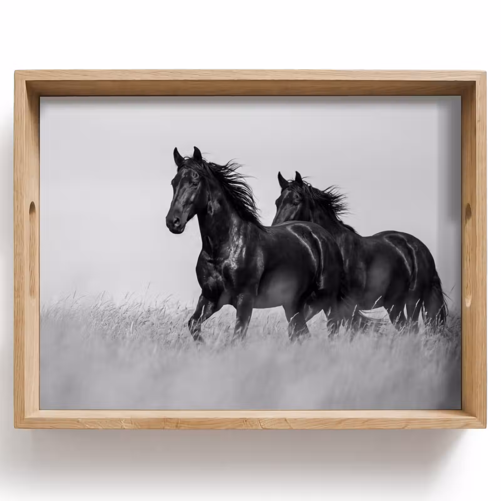 Dienblad - Paarden - Gras - Zwart - Wit — 1