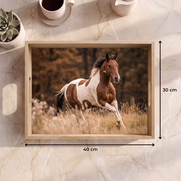 Dienblad - Paard - Bruin - Gras — 7