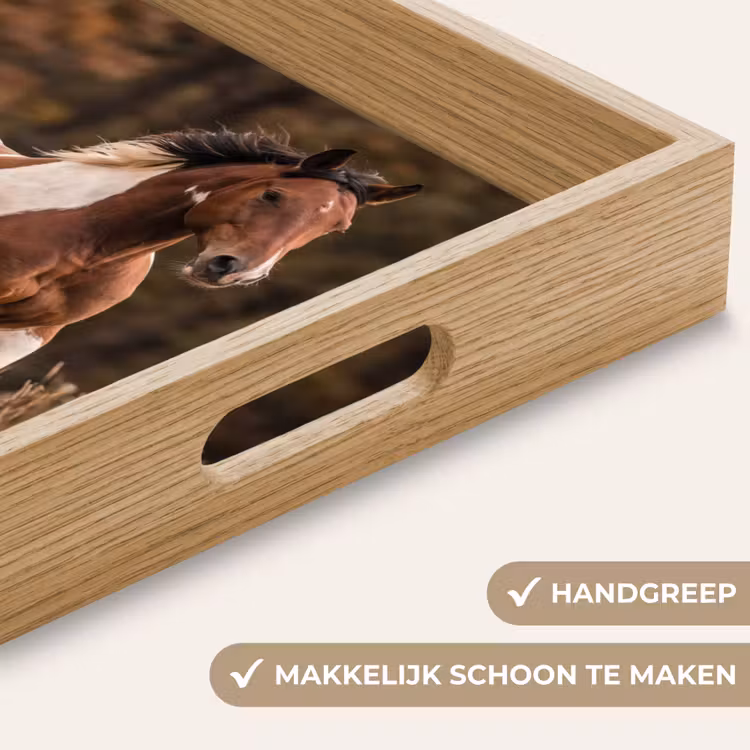 Dienblad - Paard - Bruin - Gras — 8