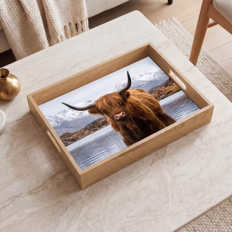 Dienblad - Schotse hooglander - Bruin - Water — 2