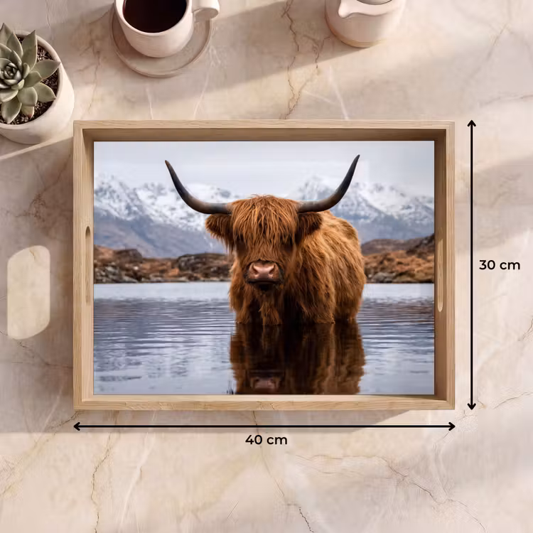 Dienblad - Schotse hooglander - Bruin - Water — 7