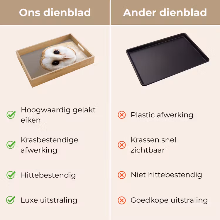 Dienblad - Uil - Bruin - Wit — 9