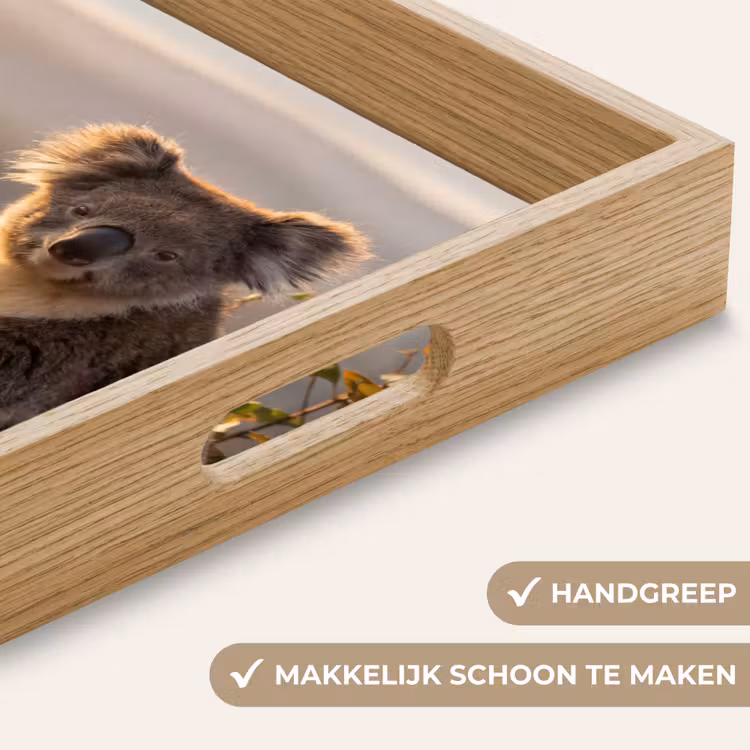 Dienblad - Koala - Bladeren - Ochtendlicht — 8