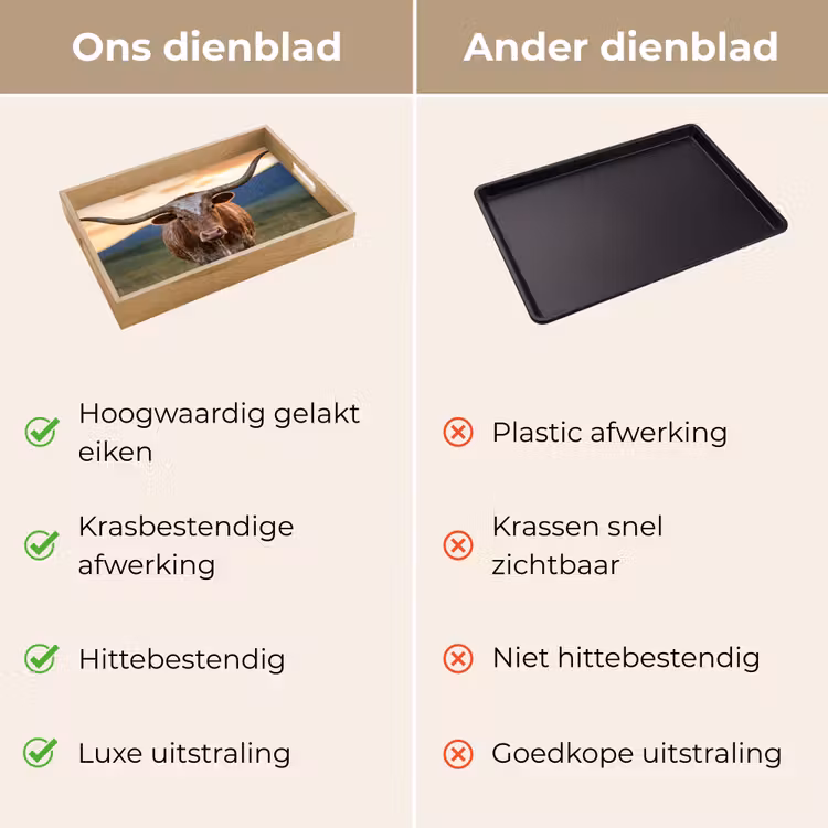 Dienblad - Longhorn - Landschap - Zonsondergang — 9