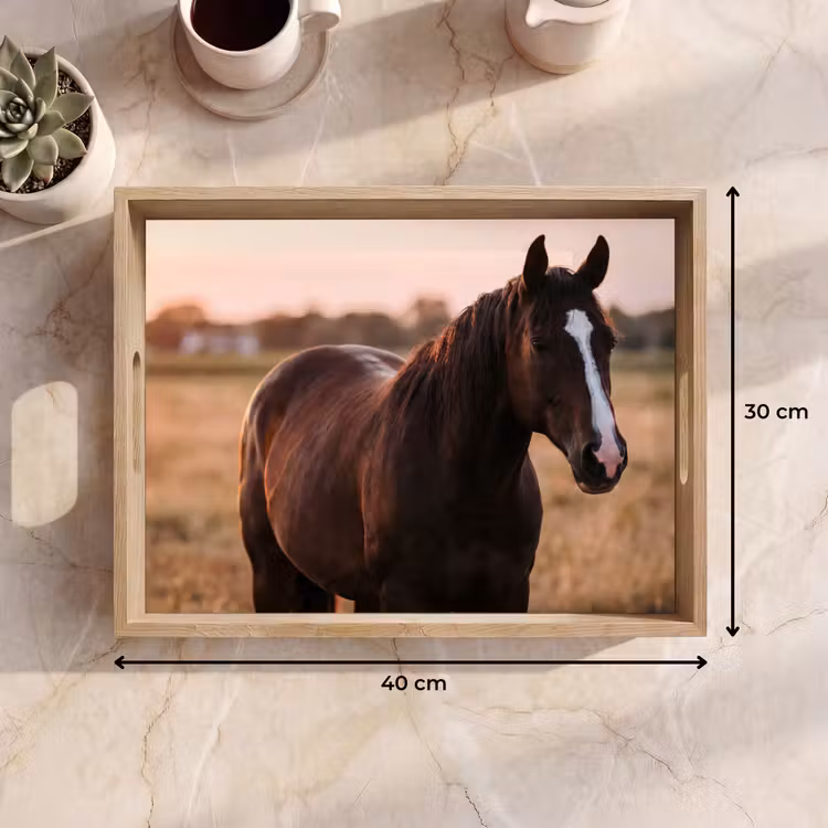 Dienblad - Paard - Zonsondergang - Bruin — 7